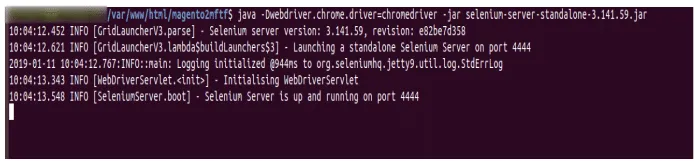 step-6-run-selenium.webp
